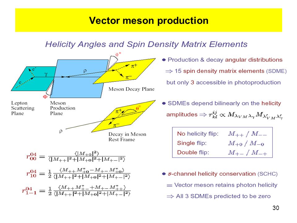 30 Vector meson production