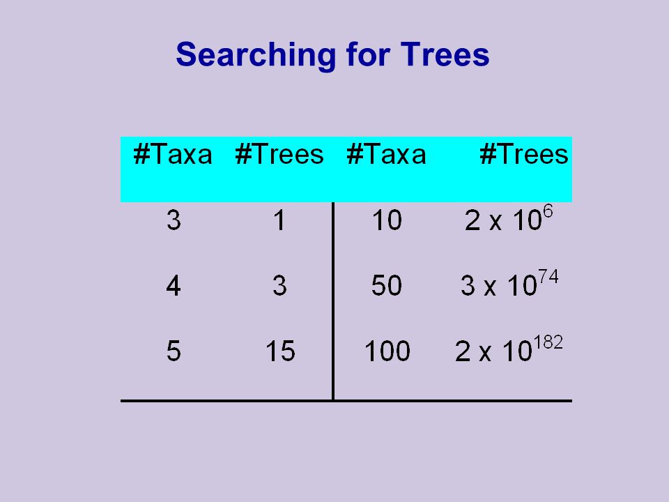 Searching for Trees