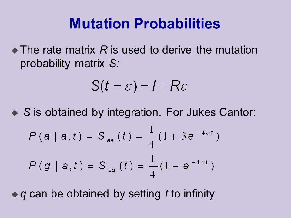 Mutation Probabilities u The rate matrix R is used to derive the mutation probability matrix S: u S is obtained by integration.