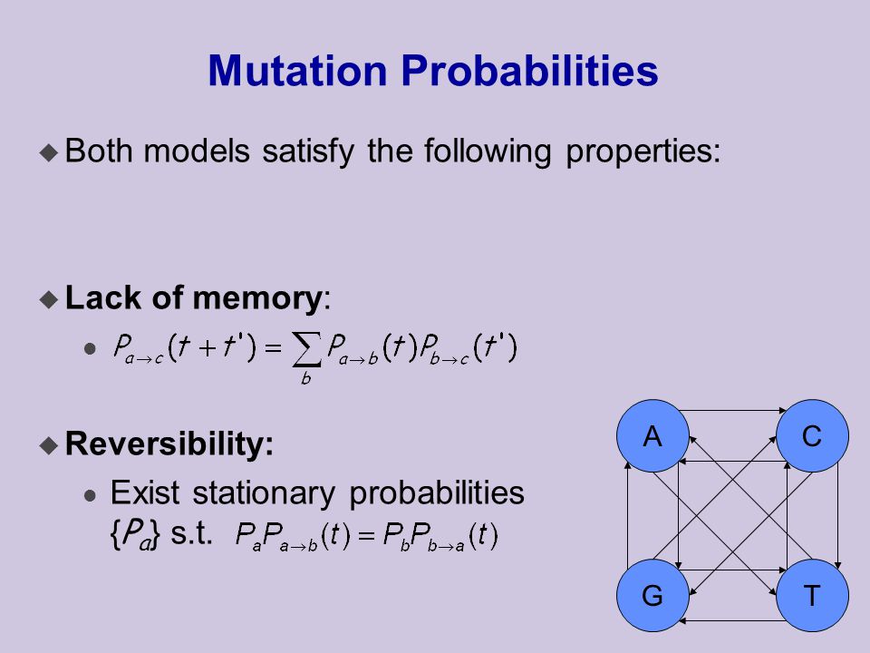 Mutation Probabilities  Both models satisfy the following properties: u Lack of memory: l u Reversibility: Exist stationary probabilities { P a } s.t.