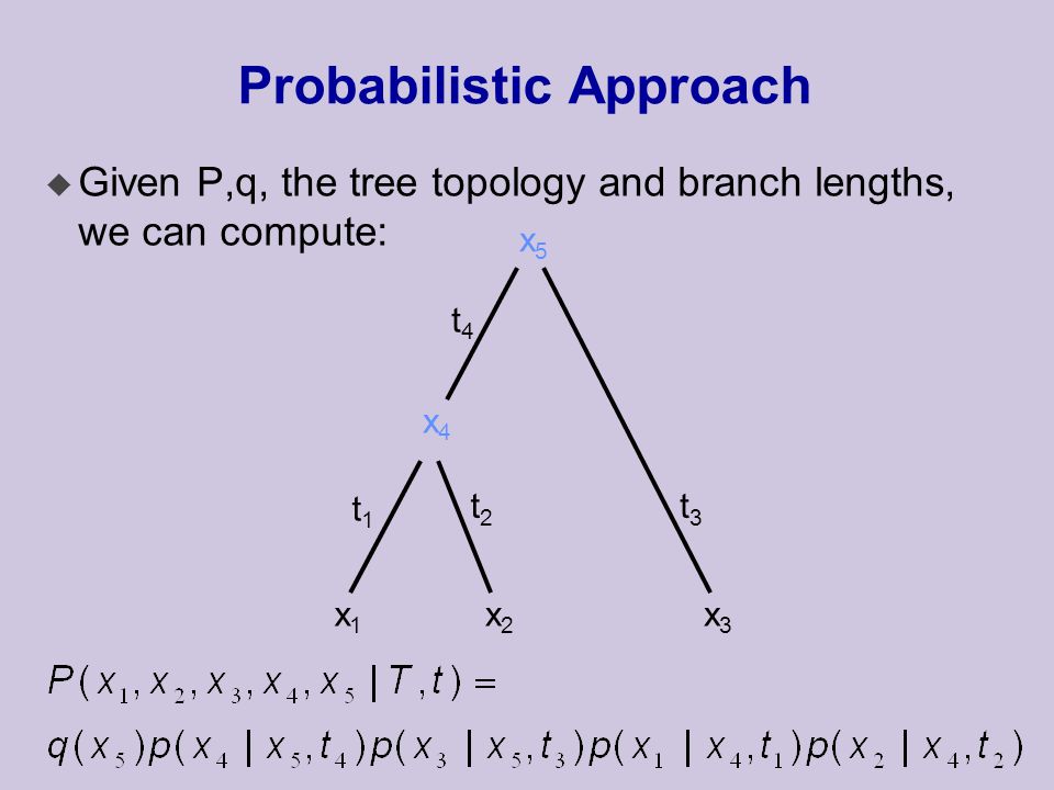 Probabilistic Approach u Given P,q, the tree topology and branch lengths, we can compute: x1x1 x2x2 x3x3 x4x4 x5x5 t1t1 t2t2 t3t3 t4t4