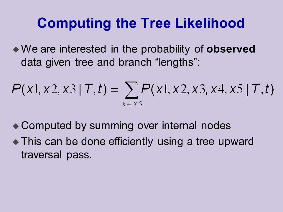 Computing the Tree Likelihood u We are interested in the probability of observed data given tree and branch lengths : u Computed by summing over internal nodes u This can be done efficiently using a tree upward traversal pass.