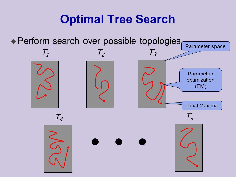 Optimal Tree Search u Perform search over possible topologies T1T1 T3T3 T4T4 T2T2 TnTn Parametric optimization (EM) Parameter space Local Maxima