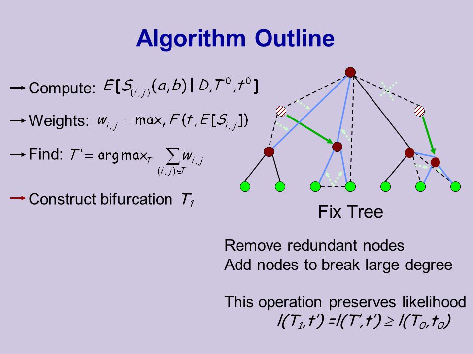 Fix Tree Remove redundant nodes Add nodes to break large degree This operation preserves likelihood l(T 1,t’) =l(T’,t’)  l(T 0,t 0 ) Algorithm Outline Compute: Find: Weights: Construct bifurcation T 1