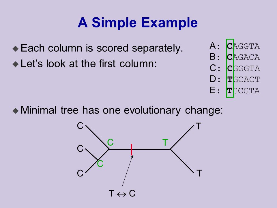 A Simple Example u Each column is scored separately.