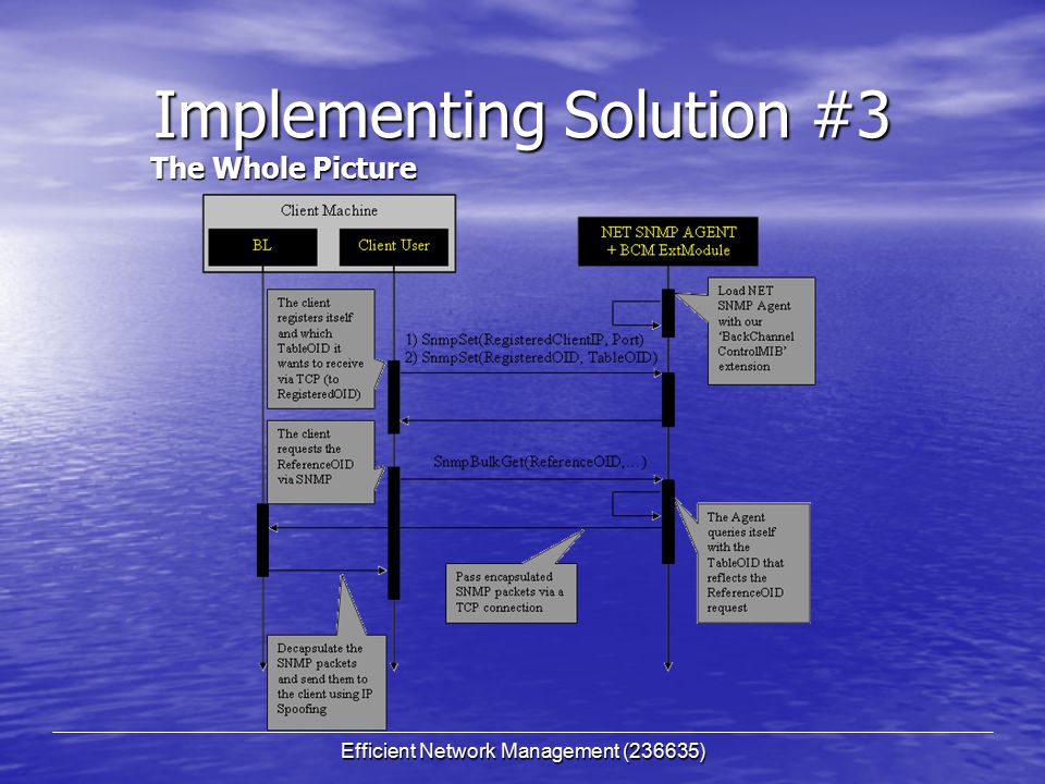 Efficient Network Management (236635) Implementing Solution #3 The Whole Picture