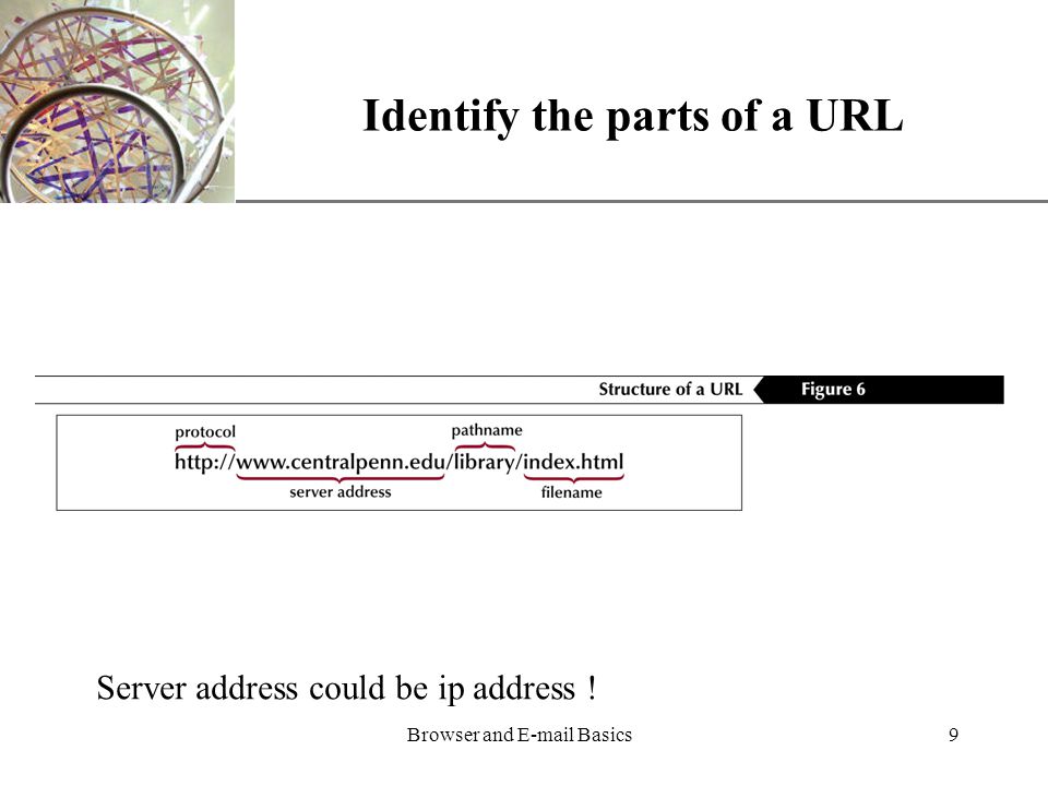 XP Browser and  Basics9 Identify the parts of a URL Server address could be ip address !