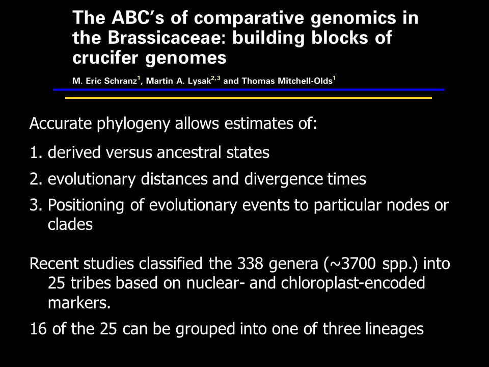 Accurate phylogeny allows estimates of: 1.derived versus ancestral states 2.evolutionary distances and divergence times 3.Positioning of evolutionary events to particular nodes or clades Recent studies classified the 338 genera (~3700 spp.) into 25 tribes based on nuclear- and chloroplast-encoded markers.