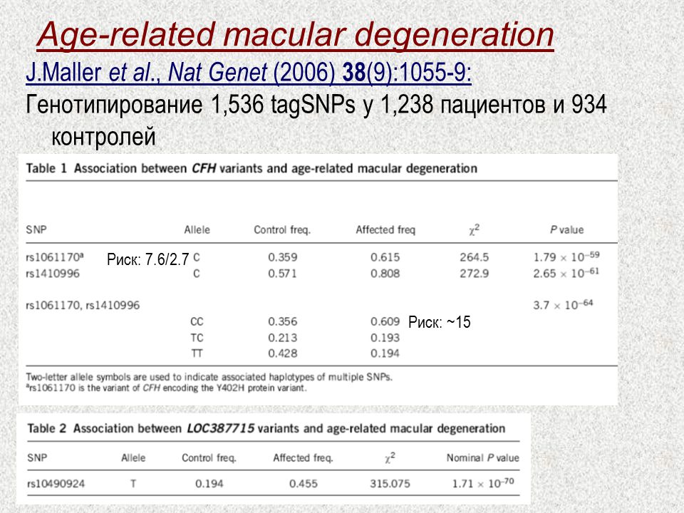 TSH 86-38:2006. Risk Factors age related Macular.