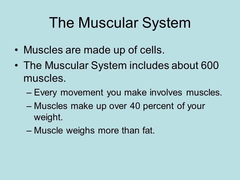 The Muscular System Two ways of controlling muscles –Involuntary –Voluntary Three types of muscles –Cardiac (involuntary) –Smooth (involuntary) –Skeletal (voluntary)
