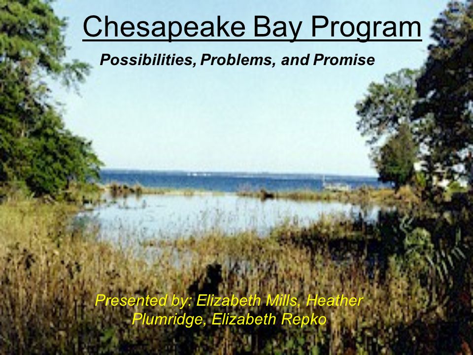 Chesapeake Bay Program Presented by: Elizabeth Mills, Heather Plumridge, Elizabeth Repko Possibilities, Problems, and Promise