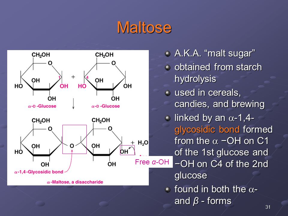 31 Maltose Free α-OH A.K.A.