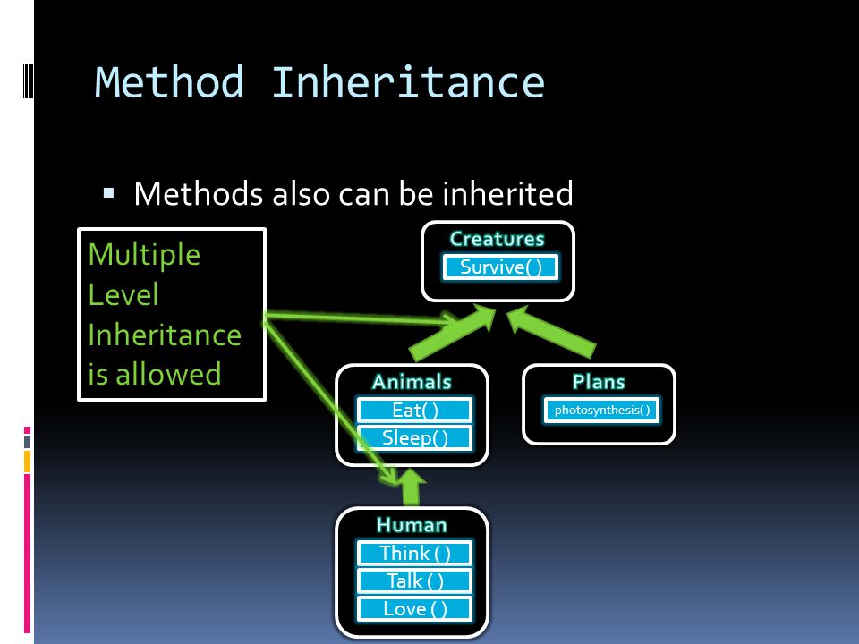 Method Inheritance  Methods also can be inherited Think ( ) Talk ( ) Love ( ) Eat( ) Sleep( ) Survive( ) photosynthesis( ) Multiple Level Inheritance is allowed