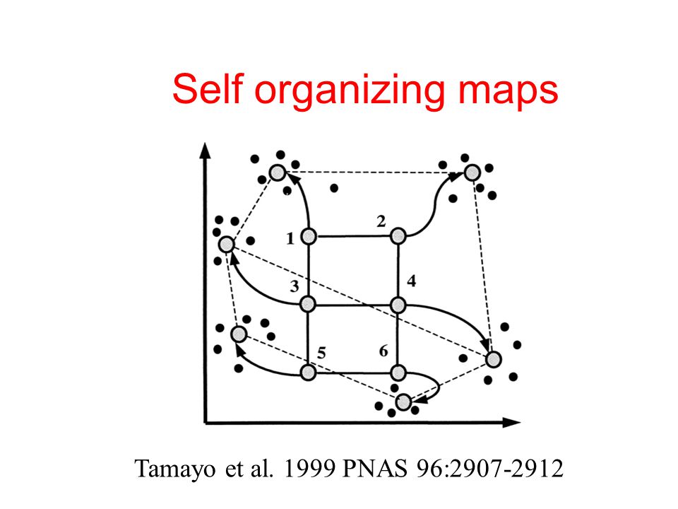 Self organizing maps Tamayo et al PNAS 96: