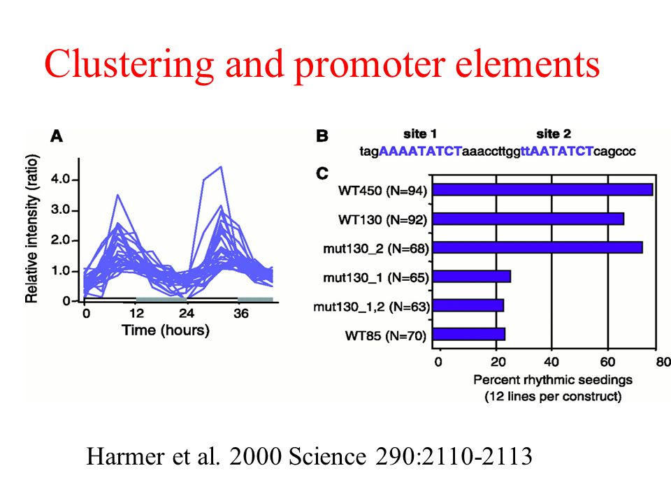 Clustering and promoter elements Harmer et al Science 290: