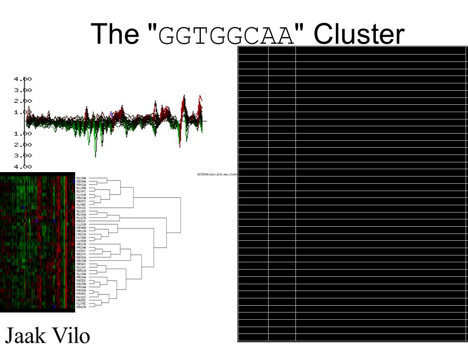 Jaak Vilo The GGTGGCAA Cluster