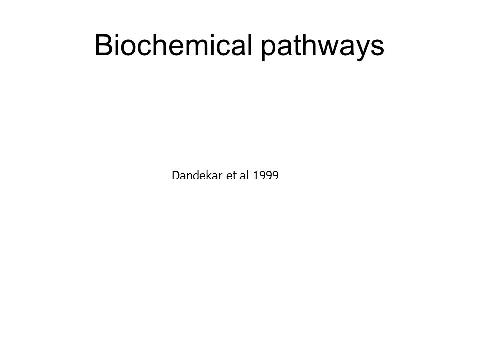Biochemical pathways Dandekar et al 1999