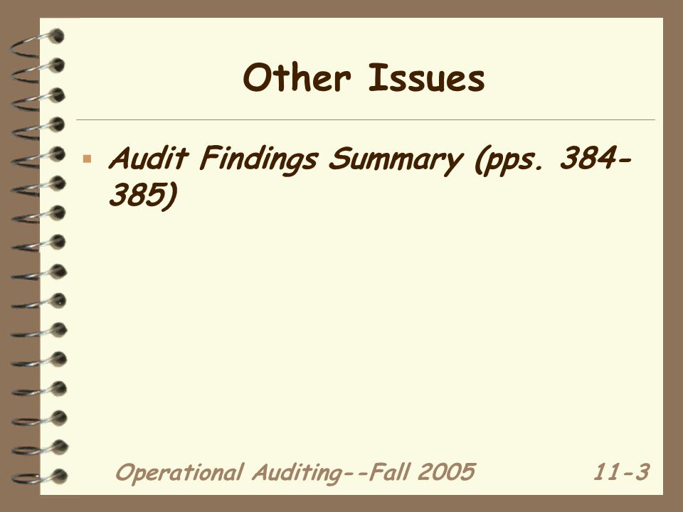 Operational Auditing--Fall Other Issues  Audit Findings Summary (pps )