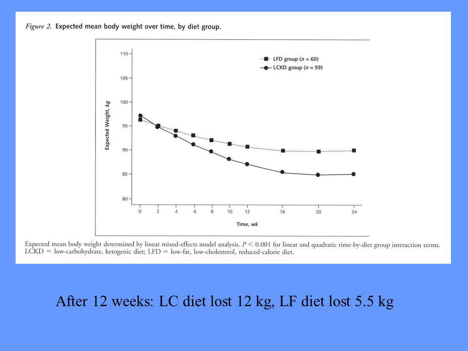 After 12 weeks: LC diet lost 12 kg, LF diet lost 5.5 kg