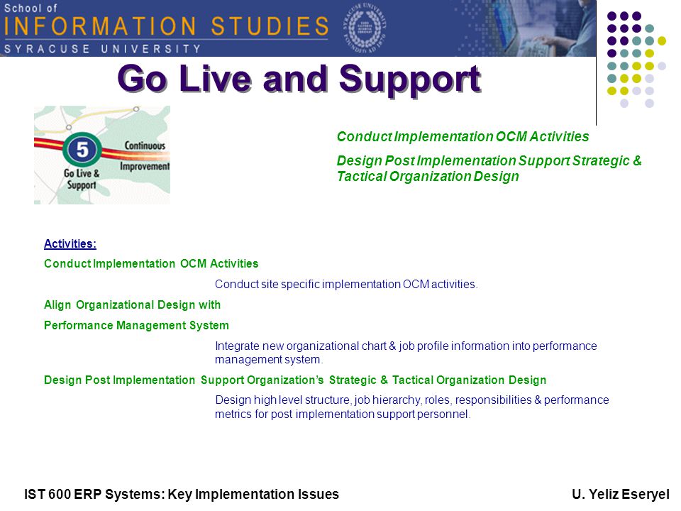 IST 600 ERP Systems: Key Implementation Issues U.