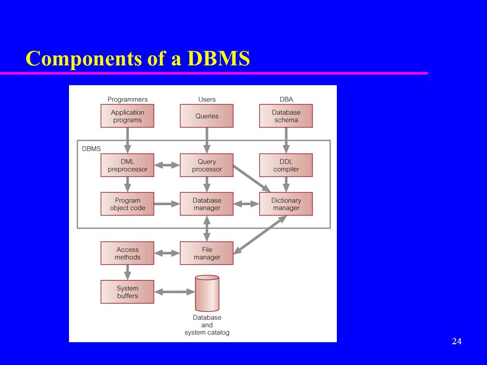 24 Components of a DBMS