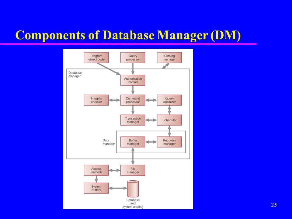 25 Components of Database Manager (DM)