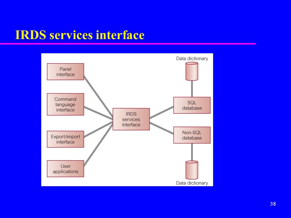 38 IRDS services interface