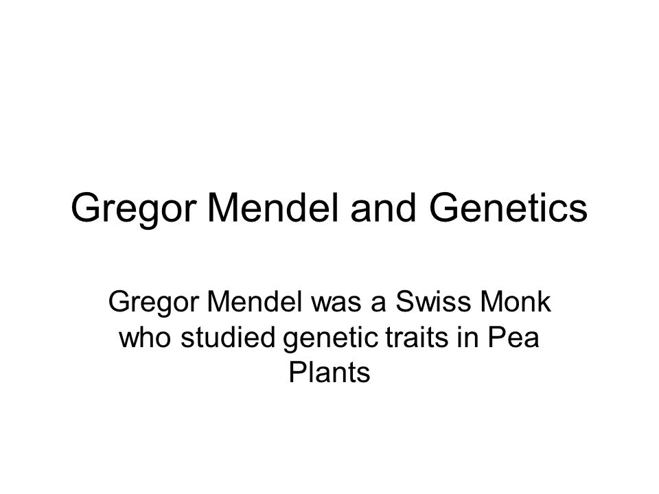 Gregor Mendel and Genetics Gregor Mendel was a Swiss Monk who studied genetic traits in Pea Plants