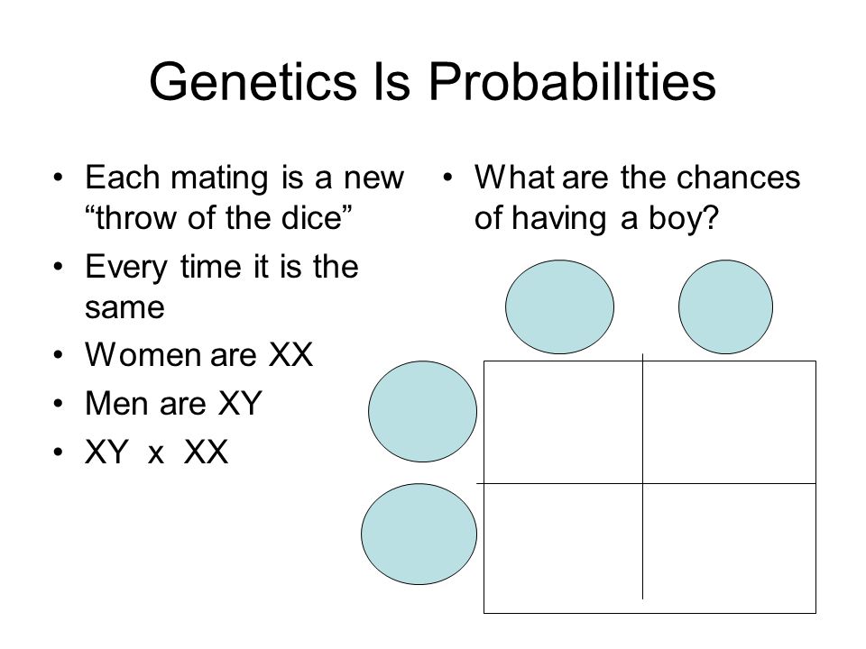 Genetics Is Probabilities Each mating is a new throw of the dice Every time it is the same Women are XX Men are XY XY x XX What are the chances of having a boy