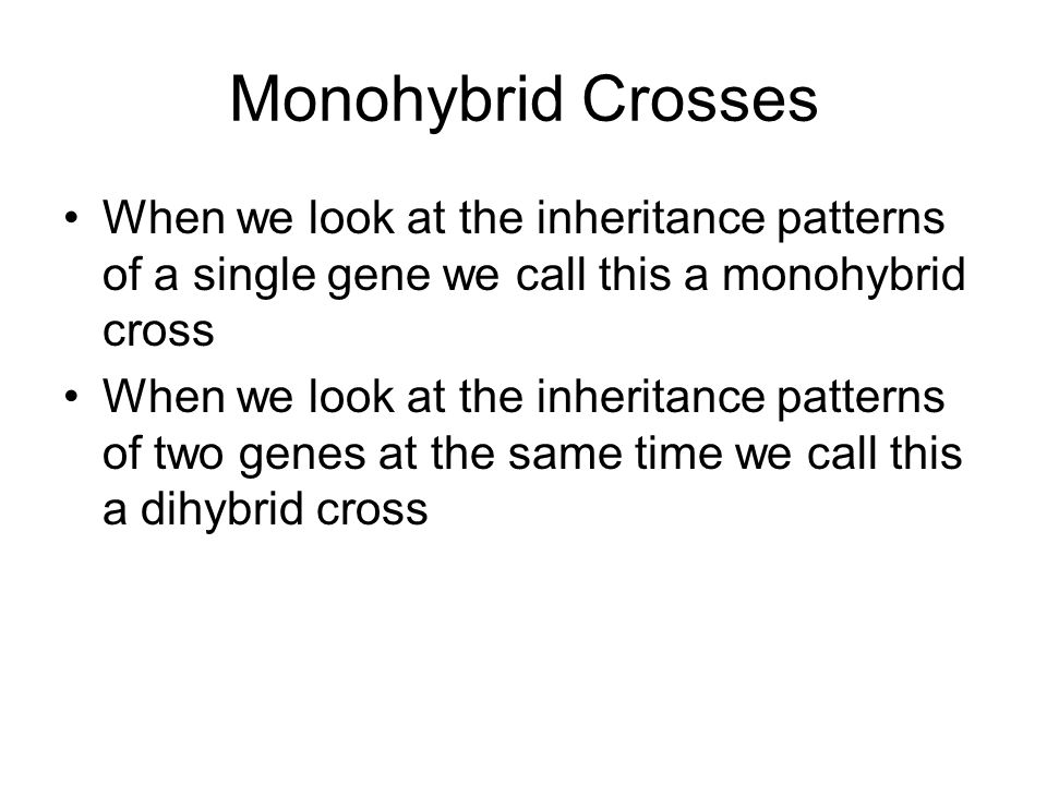 Monohybrid Crosses When we look at the inheritance patterns of a single gene we call this a monohybrid cross When we look at the inheritance patterns of two genes at the same time we call this a dihybrid cross