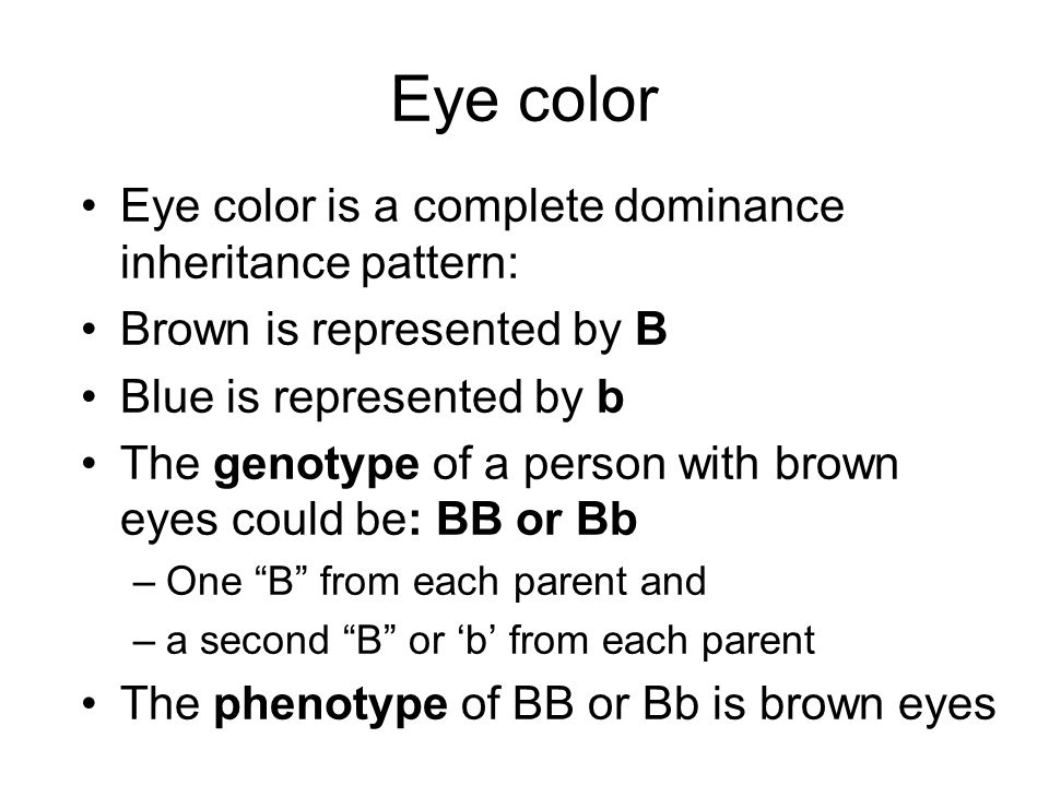 Eye color Eye color is a complete dominance inheritance pattern: Brown is represented by B Blue is represented by b The genotype of a person with brown eyes could be: BB or Bb –One B from each parent and –a second B or ‘b’ from each parent The phenotype of BB or Bb is brown eyes