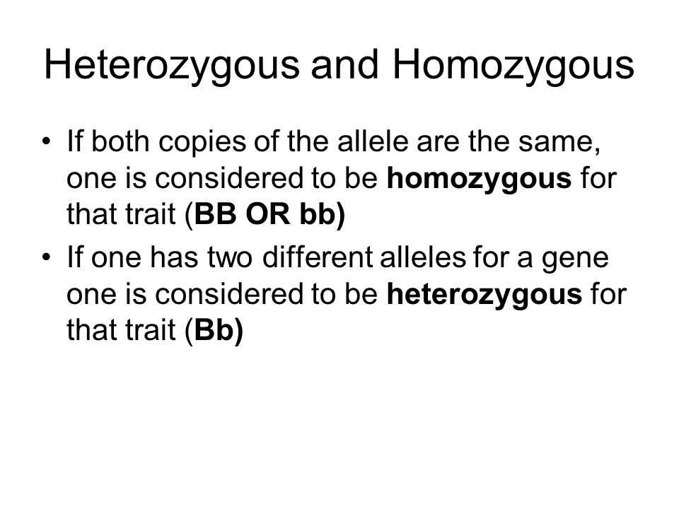 Heterozygous and Homozygous If both copies of the allele are the same, one is considered to be homozygous for that trait (BB OR bb) If one has two different alleles for a gene one is considered to be heterozygous for that trait (Bb)