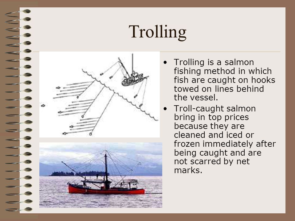 Commercial Fishing Methods: Trolling