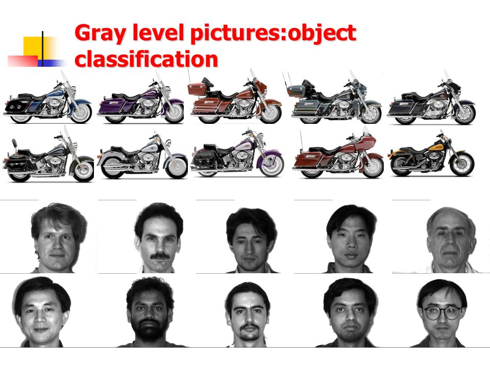 Gray level pictures:object classification