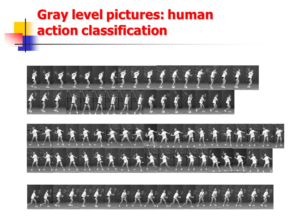 Gray level pictures: human action classification