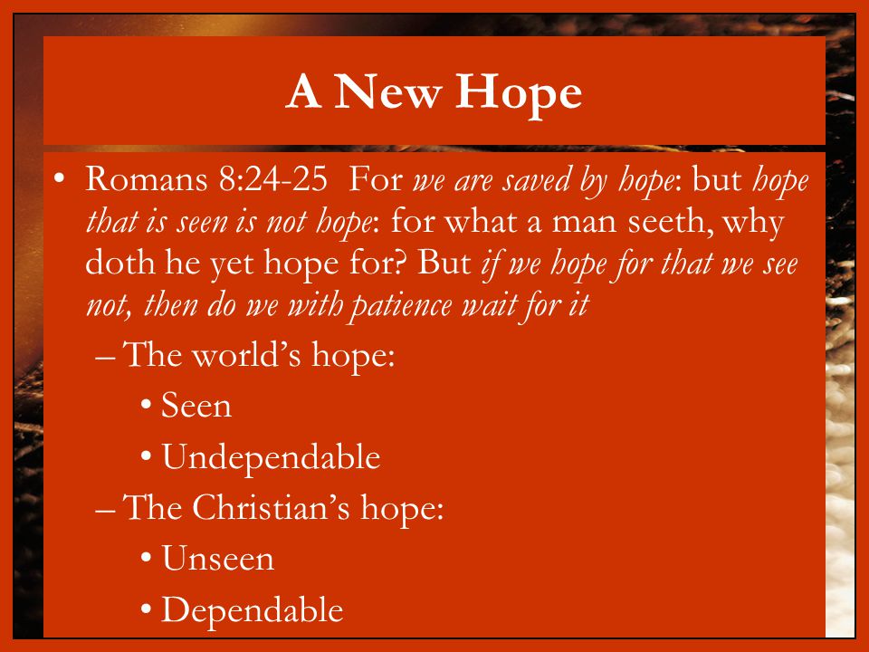 A New Hope Romans 8:24-25 For we are saved by hope: but hope that is seen is not hope: for what a man seeth, why doth he yet hope for.