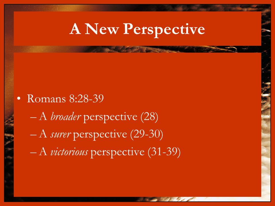 A New Perspective Romans 8:28-39 –A broader perspective (28) –A surer perspective (29-30) –A victorious perspective (31-39)