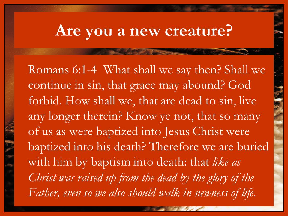 Are you a new creature. Romans 6:1-4 What shall we say then.