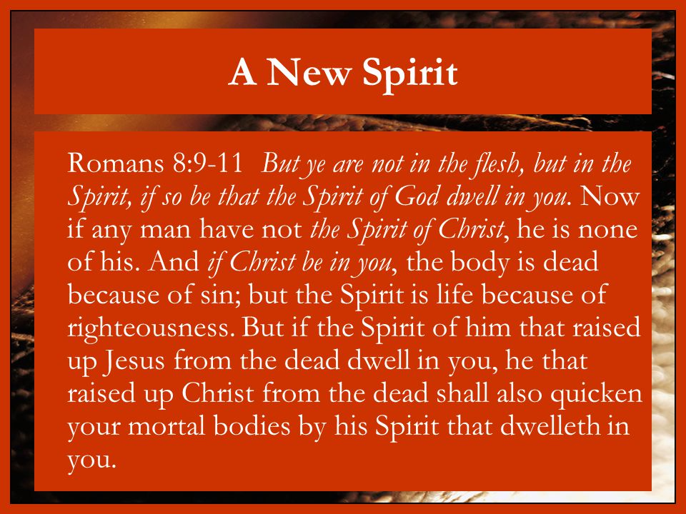 A New Spirit Romans 8:9-11 But ye are not in the flesh, but in the Spirit, if so be that the Spirit of God dwell in you.