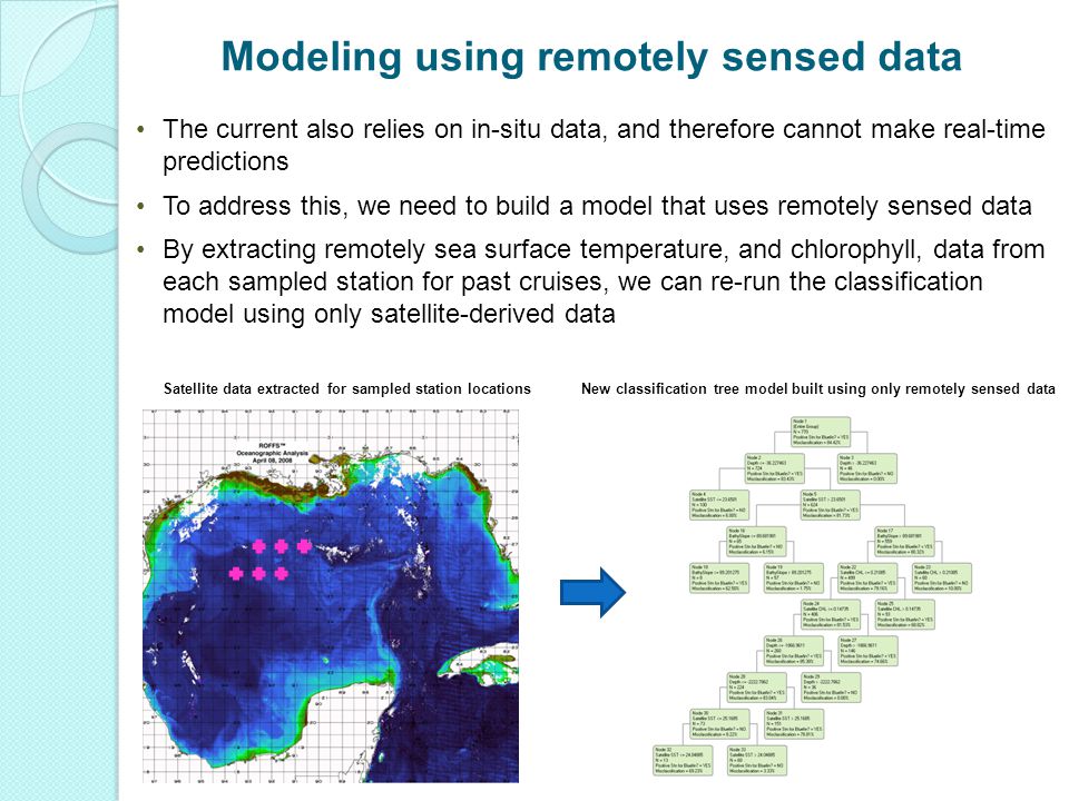 The current also relies on in-situ data, and therefore cannot make real-time predictions To address this, we need to build a model that uses remotely sensed data By extracting remotely sea surface temperature, and chlorophyll, data from each sampled station for past cruises, we can re-run the classification model using only satellite-derived data Satellite data extracted for sampled station locationsNew classification tree model built using only remotely sensed data