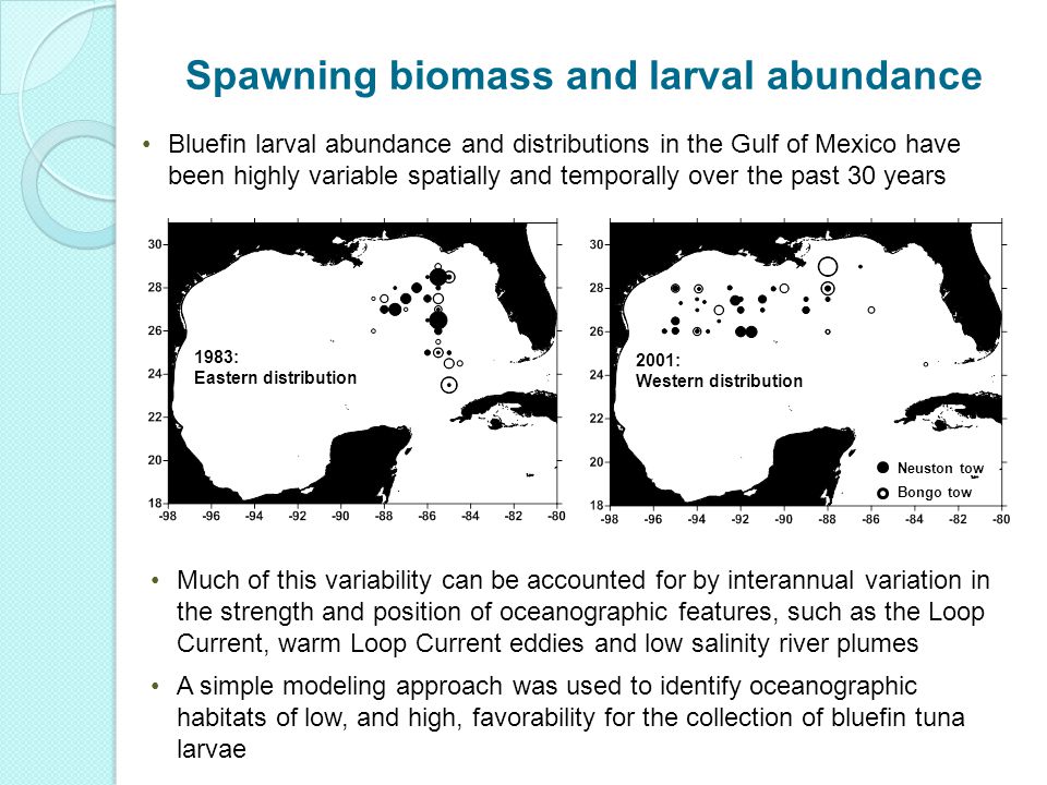 Bluefin larval abundance and distributions in the Gulf of Mexico have been highly variable spatially and temporally over the past 30 years Much of this variability can be accounted for by interannual variation in the strength and position of oceanographic features, such as the Loop Current, warm Loop Current eddies and low salinity river plumes A simple modeling approach was used to identify oceanographic habitats of low, and high, favorability for the collection of bluefin tuna larvae 1983: Eastern distribution 2001: Western distribution Neuston tow Bongo tow