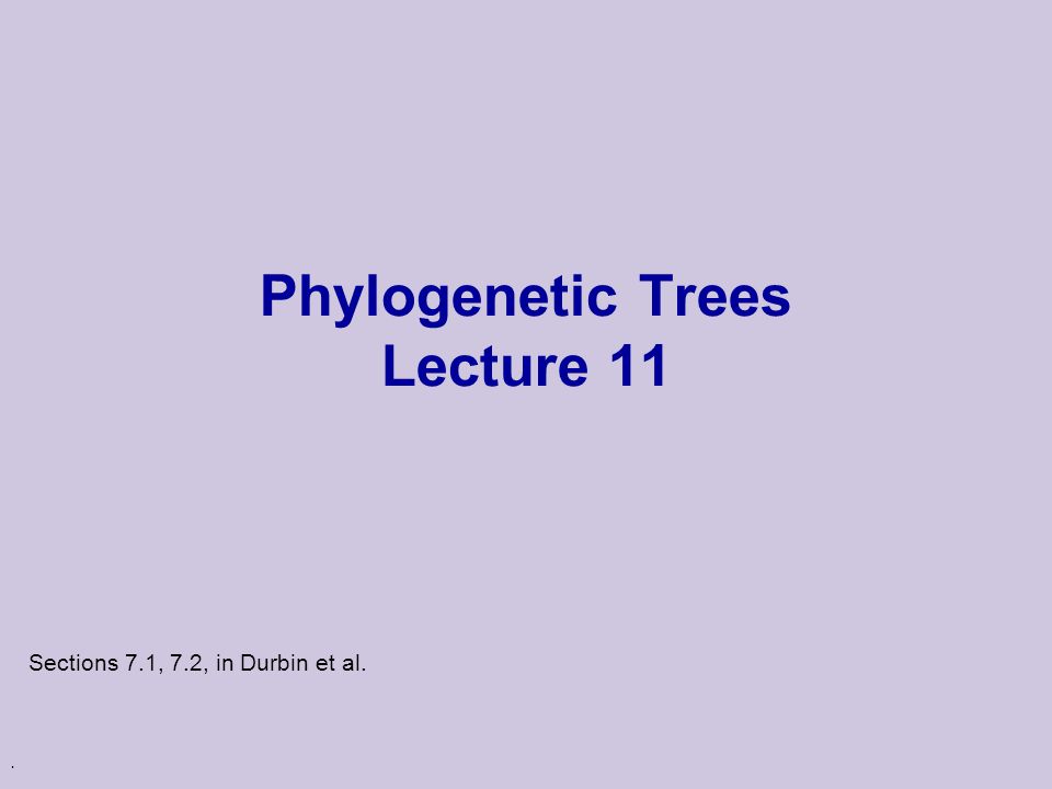 . Phylogenetic Trees Lecture 11 Sections 7.1, 7.2, in Durbin et al.