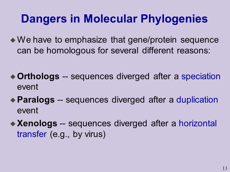 13 Dangers in Molecular Phylogenies u We have to emphasize that gene/protein sequence can be homologous for several different reasons: u Orthologs -- sequences diverged after a speciation event u Paralogs -- sequences diverged after a duplication event u Xenologs -- sequences diverged after a horizontal transfer (e.g., by virus)