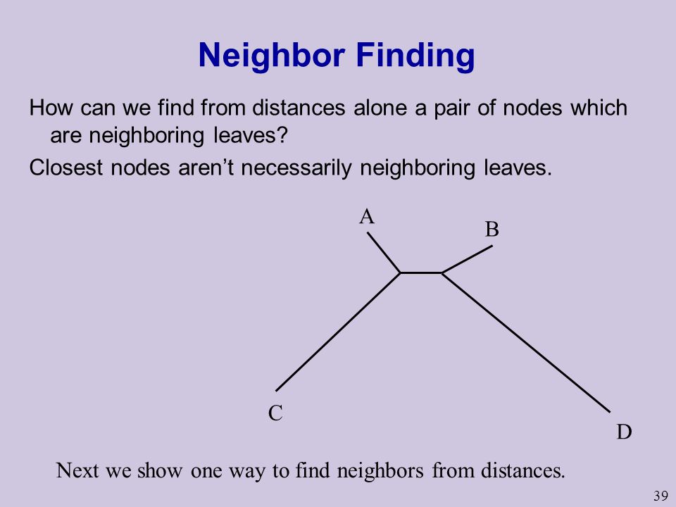 39 Neighbor Finding How can we find from distances alone a pair of nodes which are neighboring leaves.