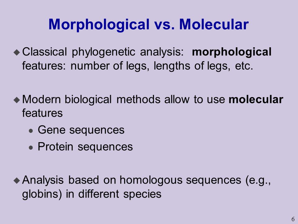 6 Morphological vs.