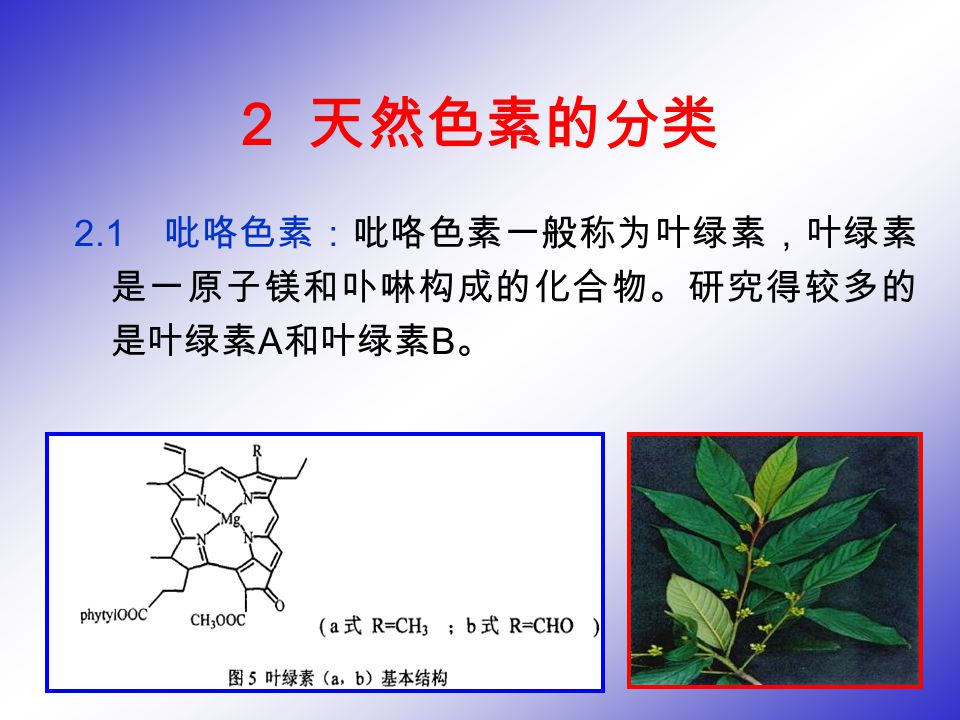 关于天然色素的研究进展学生 王桃云导师 陈鹏教授 1 引言食用色素是使食品着色或改善食品色调和色泽的食品添加剂 尽管食品中色素含量甚微 但对食品质量品质的影响却非常大 苏丹红 孔雀石绿等事件引起了一轮又一轮的食品安全警示 因而人们对合成色素安全性疑虑