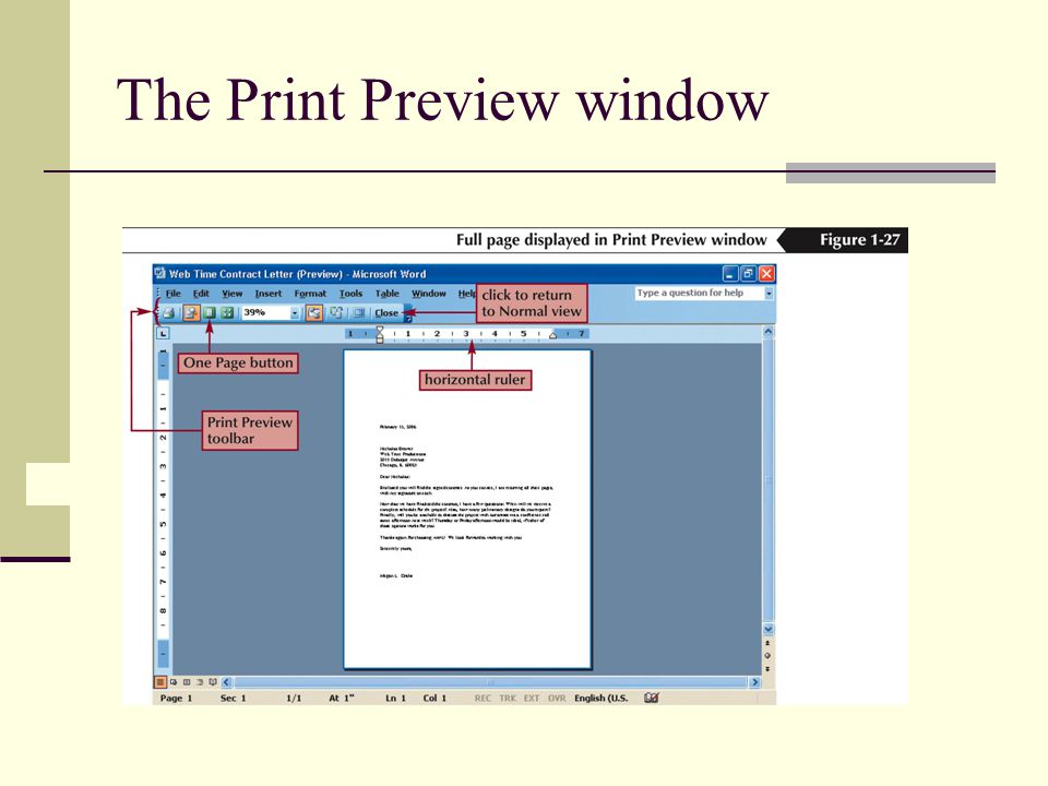 The Print Preview window