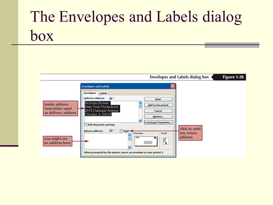 The Envelopes and Labels dialog box