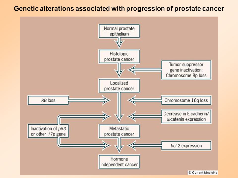 Genetic alterations associated with progression of prostate cancer