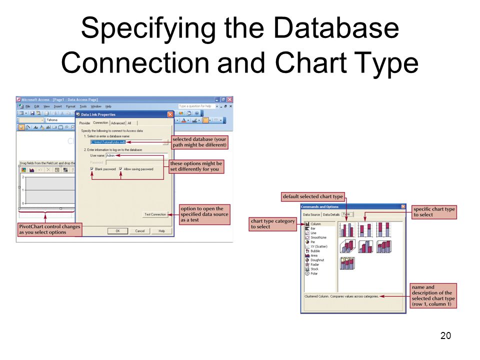 20 Specifying the Database Connection and Chart Type